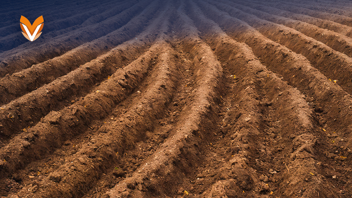 Practicar La Conservación Del Suelo Y Prevenir La Erosión - FasterCapital, image size:1200x675